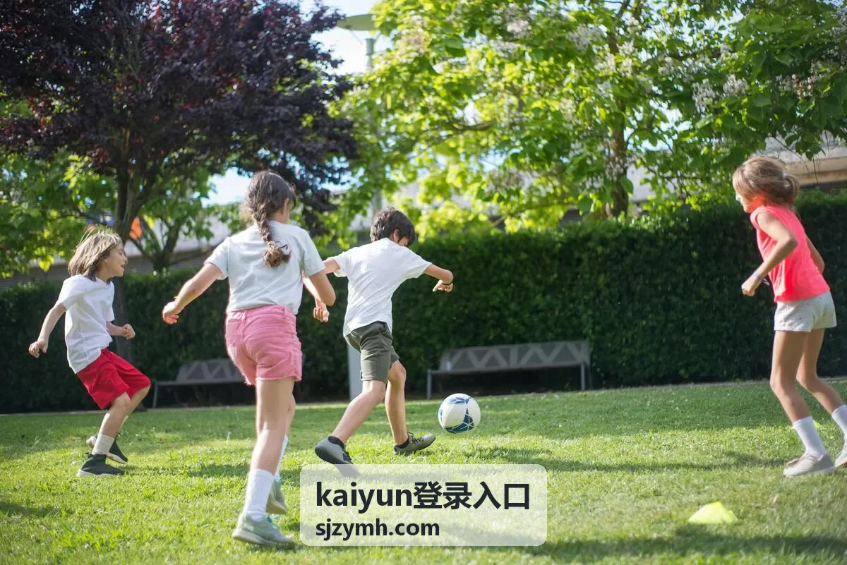 kaiyun登录入口文章配图